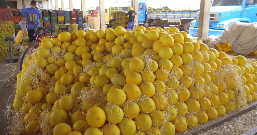 Mercado do Produtor de Juazeiro divulga cotação desta quinta-feira