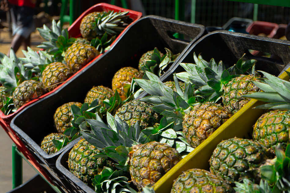 Mercado do Produtor de Juazeiro divulga cotação desta terça-feira