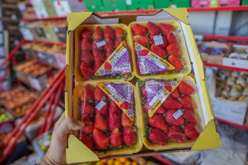 Mercado do Produtor de Juazeiro divulga cotação desta quinta-feira