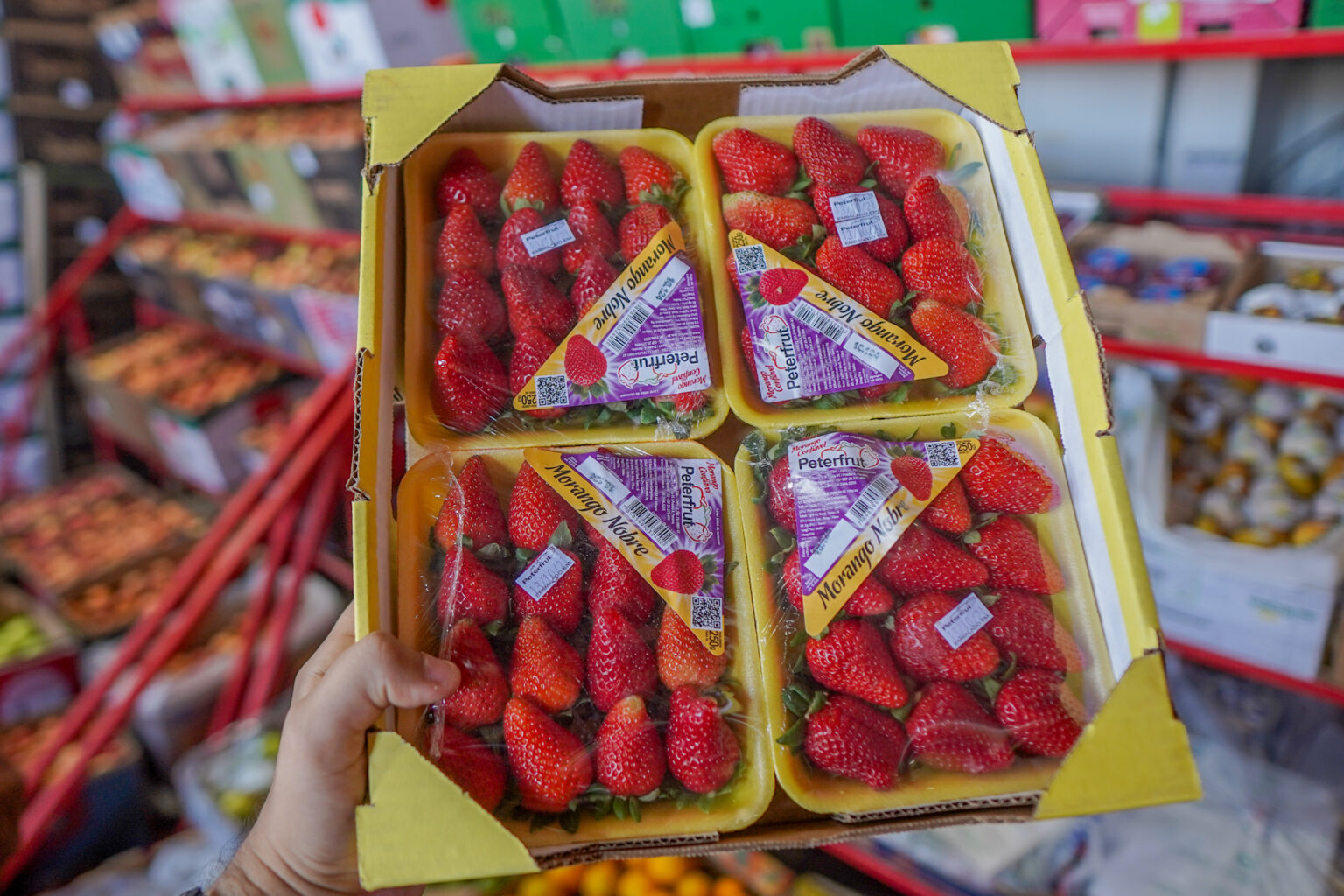 Mercado do Produtor de Juazeiro divulga cotação desta quinta-feira