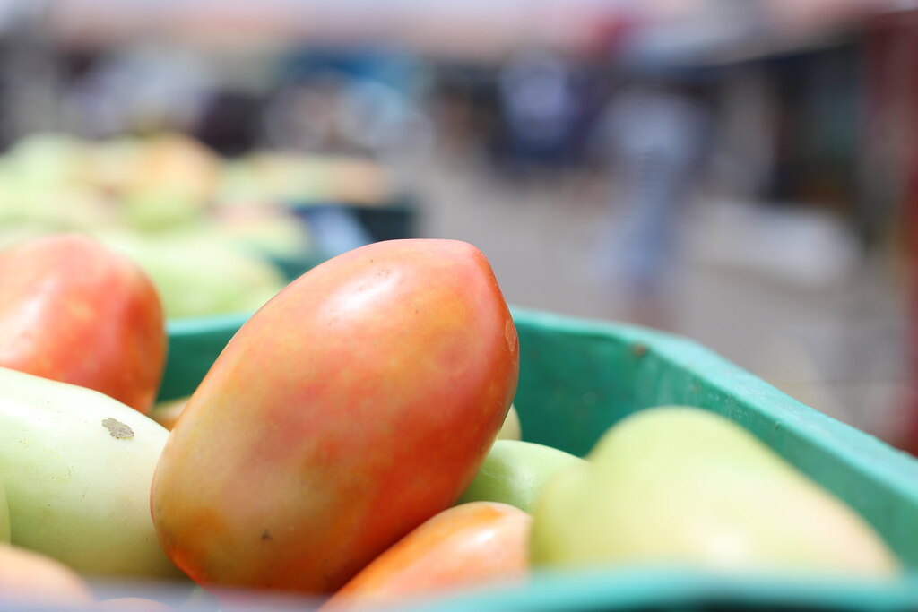 Mercado do Produtor de Juazeiro divulga cotação desta quarta-feira
