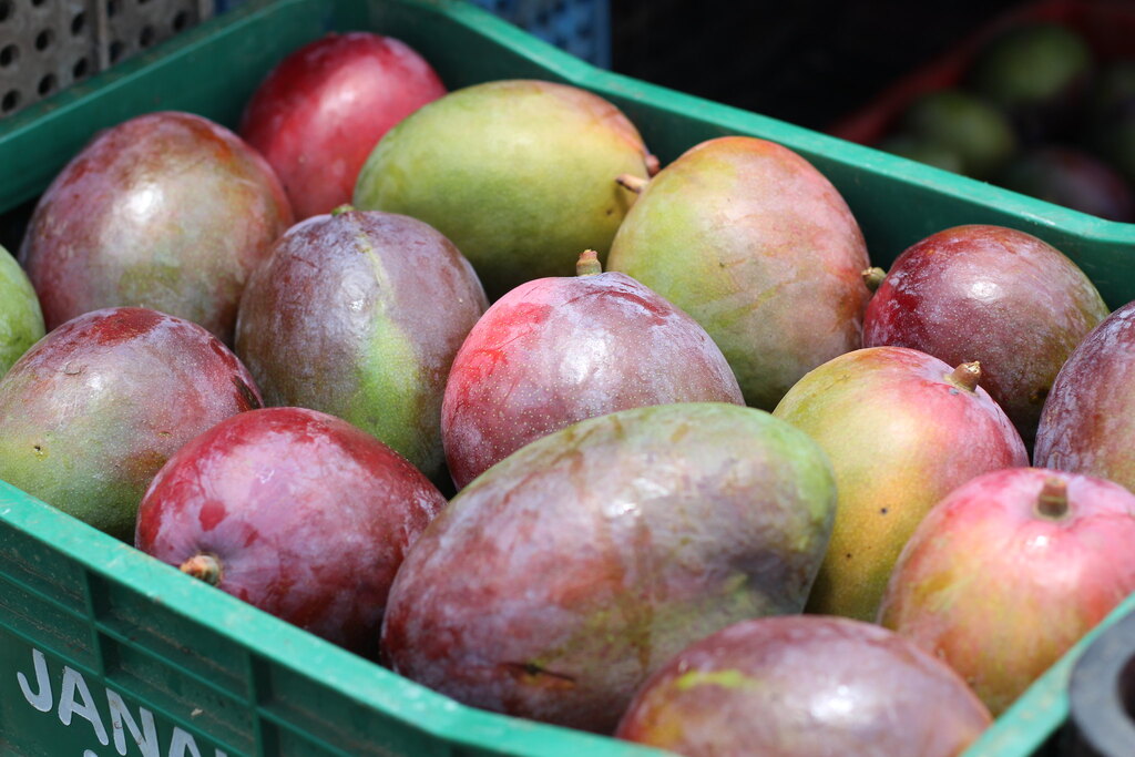 Mercado do Produtor de Juazeiro divulga cotação desta quinta-feira