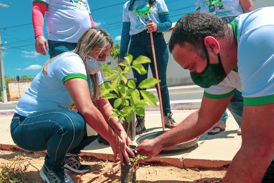 Prefeitura de Juazeiro inicia projeto “Juaarborizado” levando o plantio de espécies nativas a diferentes locais da cidade