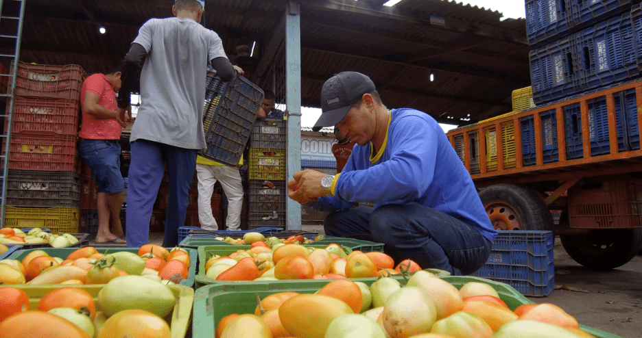 Volume elevado de chuva em Irecê provoca aumento nos preços de hortifrutigranjeiros comercializados no Mercado do Produtor de Juazeiro