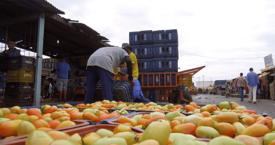 Preço do tomate cai no Mercado do Produtor de Juazeiro