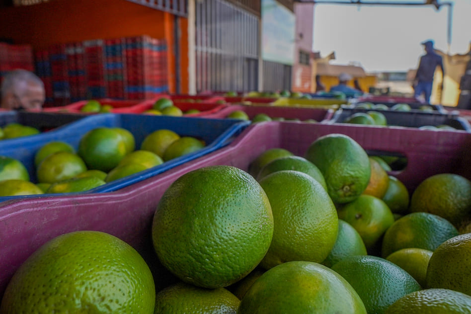 Confira a cotação dos hortifrutigranjeiros comercializados no Mercado do Produtor de Juazeiro nesta quarta-feira