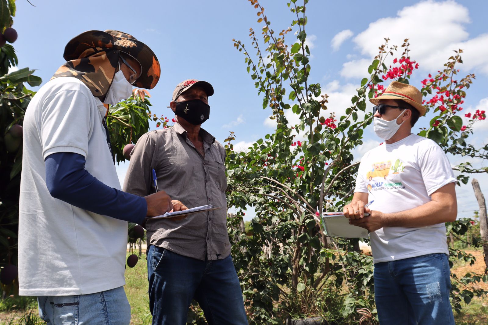 Prefeitura de Juazeiro e IBGE coletam dados do setor agrícola nos distritos da cidade