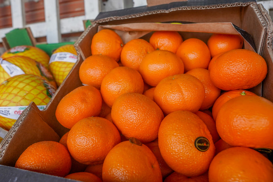 Confira a cotação dos hortifrutigranjeiros comercializados no Mercado do Produtor de Juazeiro nesta quarta-feira