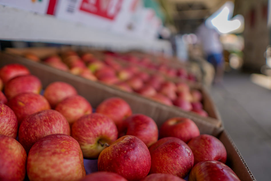Confira a cotação dos hortifrutigranjeiros comercializados no Mercado do Produtor de Juazeiro nesta sexta-feira