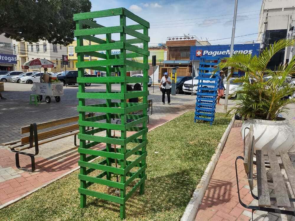 Prefeitura instala grades em canteiros que receberam mudas no centro de Juazeiro e alerta sobre preservação de árvores nativas
