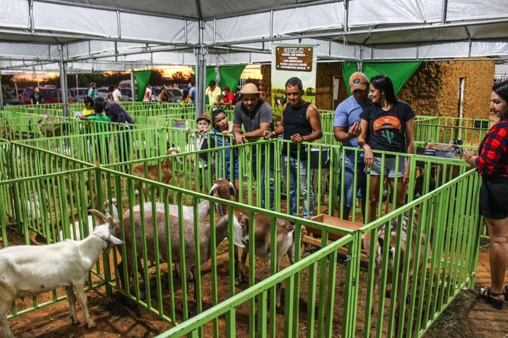 Segundo dia da Feira do Bode de Itamotinga tem programação diversificada, serviços itinerantes e elogios à Prefeitura de Juazeiro