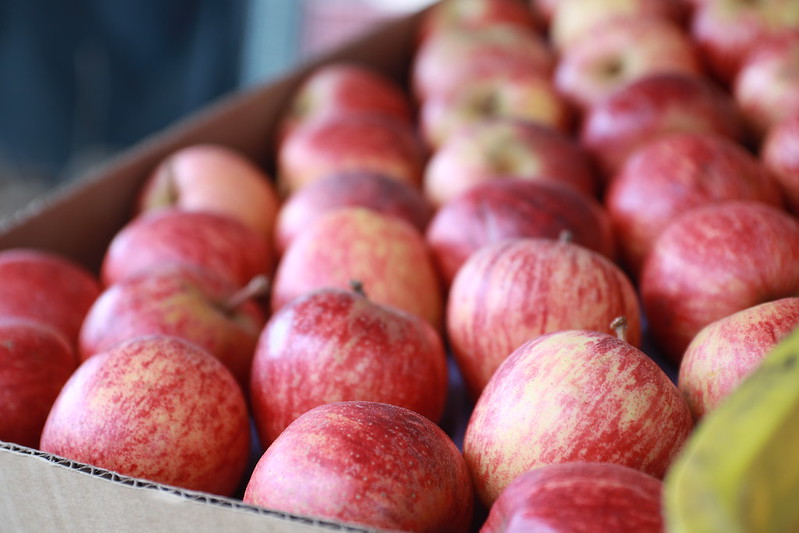 Confira a cotação dos hortifrutigranjeiros comercializados no Mercado do Produtor de Juazeiro nesta segunda-feira (25)
