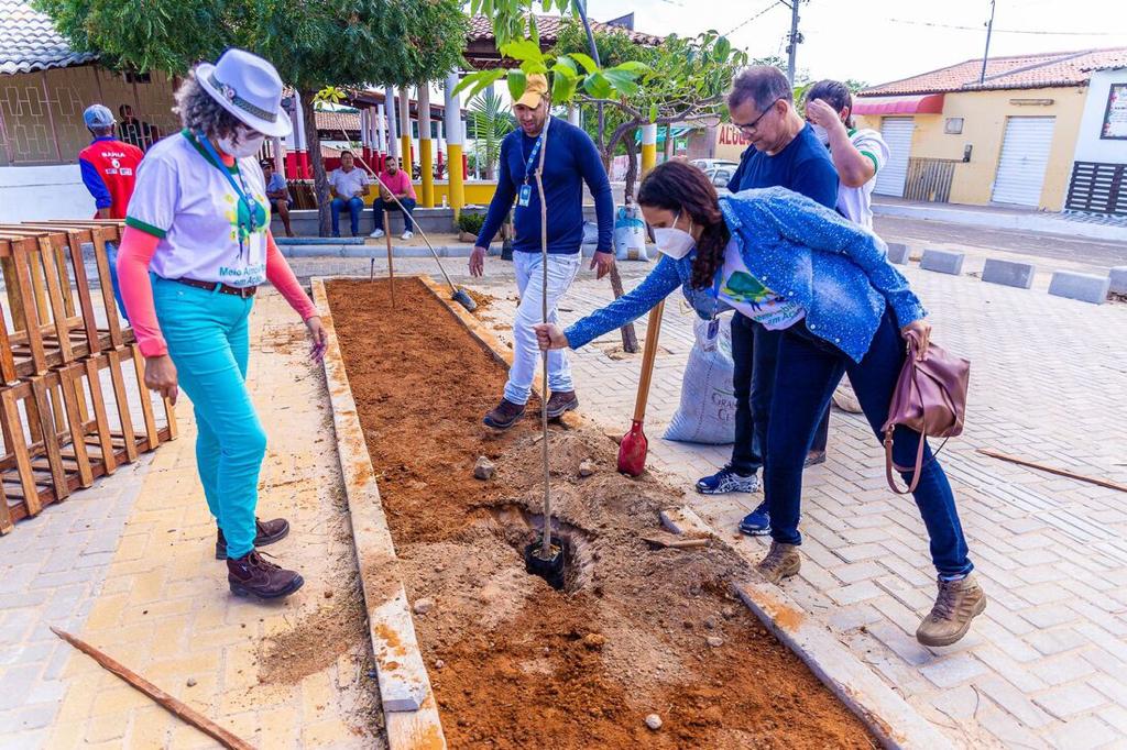 Comunidade do Rodeadouro, em Juazeiro, é beneficiada com arborização e ação de paisagismo