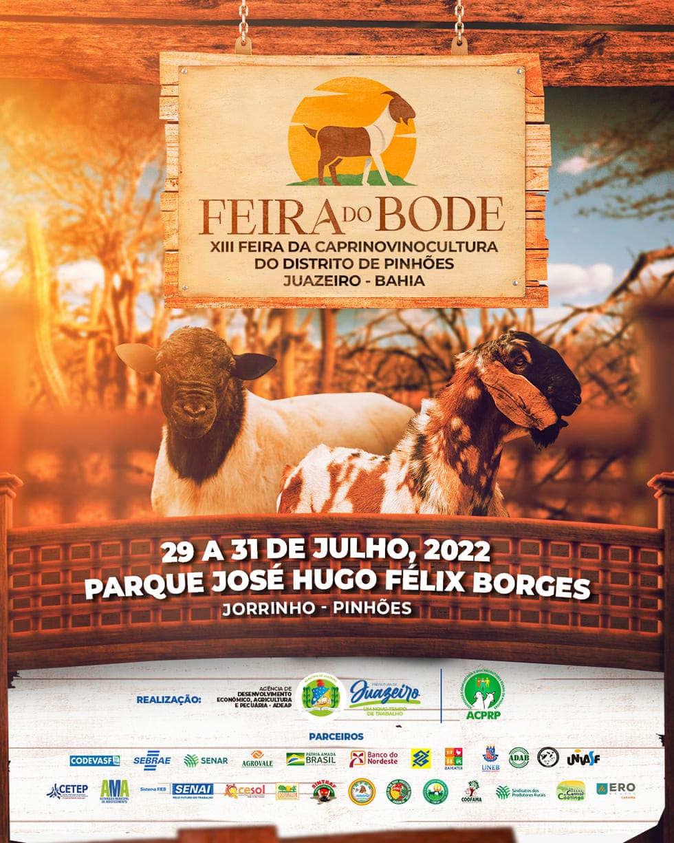 13ª edição da Feira do Bode de Pinhões promete movimentar o final de semana no distrito