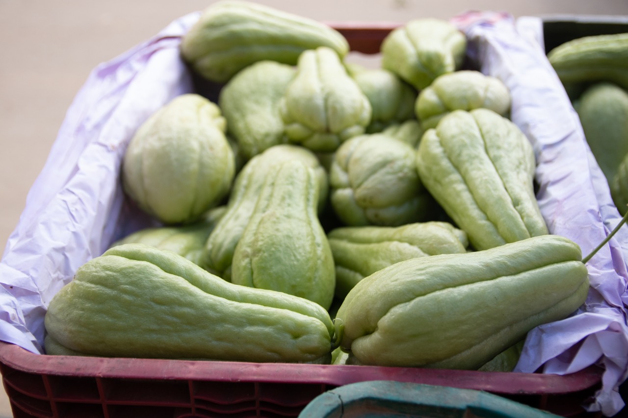 Confira a cotação dos hortifrutigranjeiros comercializados no Mercado do Produtor de Juazeiro nesta sexta-feira