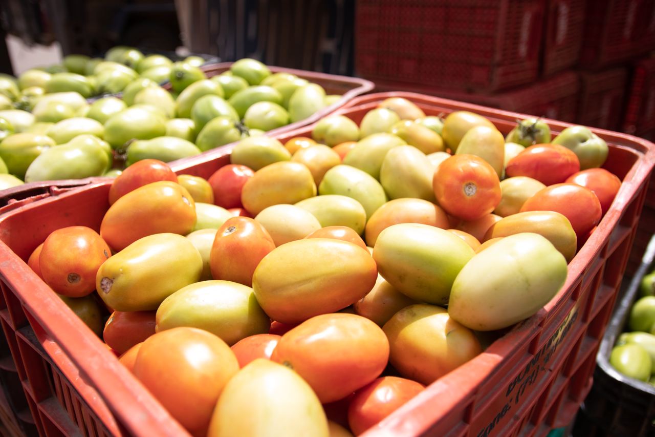 Confira a cotação dos hortifrutigranjeiros comercializados no Mercado do Produtor de Juazeiro nesta quinta-feira