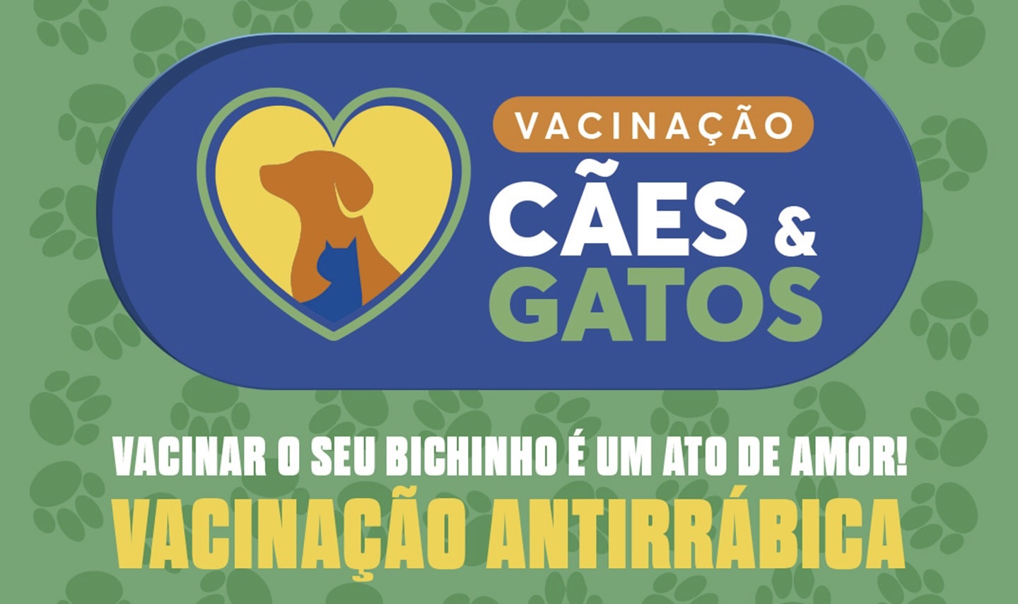 Prefeitura de Juazeiro divulga cronograma de vacinação antirrábica desta semana