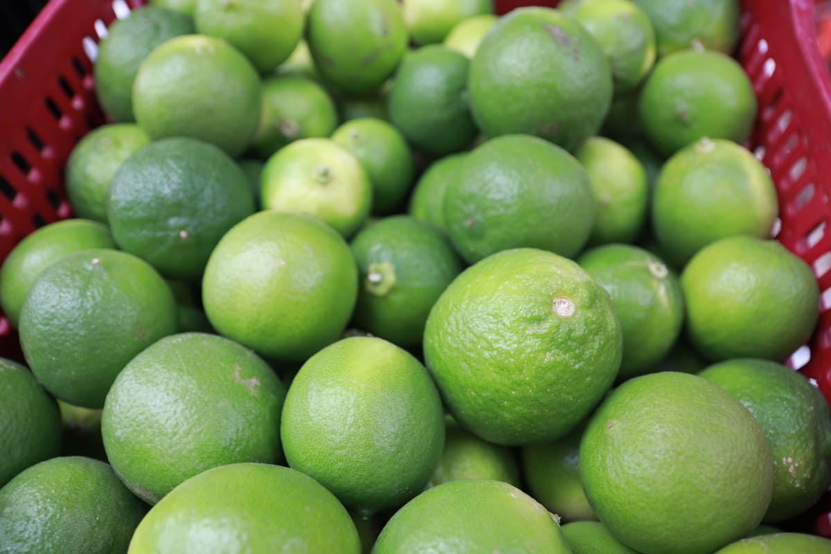 Confira a cotação dos hortifrutigranjeiros comercializados no Mercado do Produtor de Juazeiro nesta terça-feira