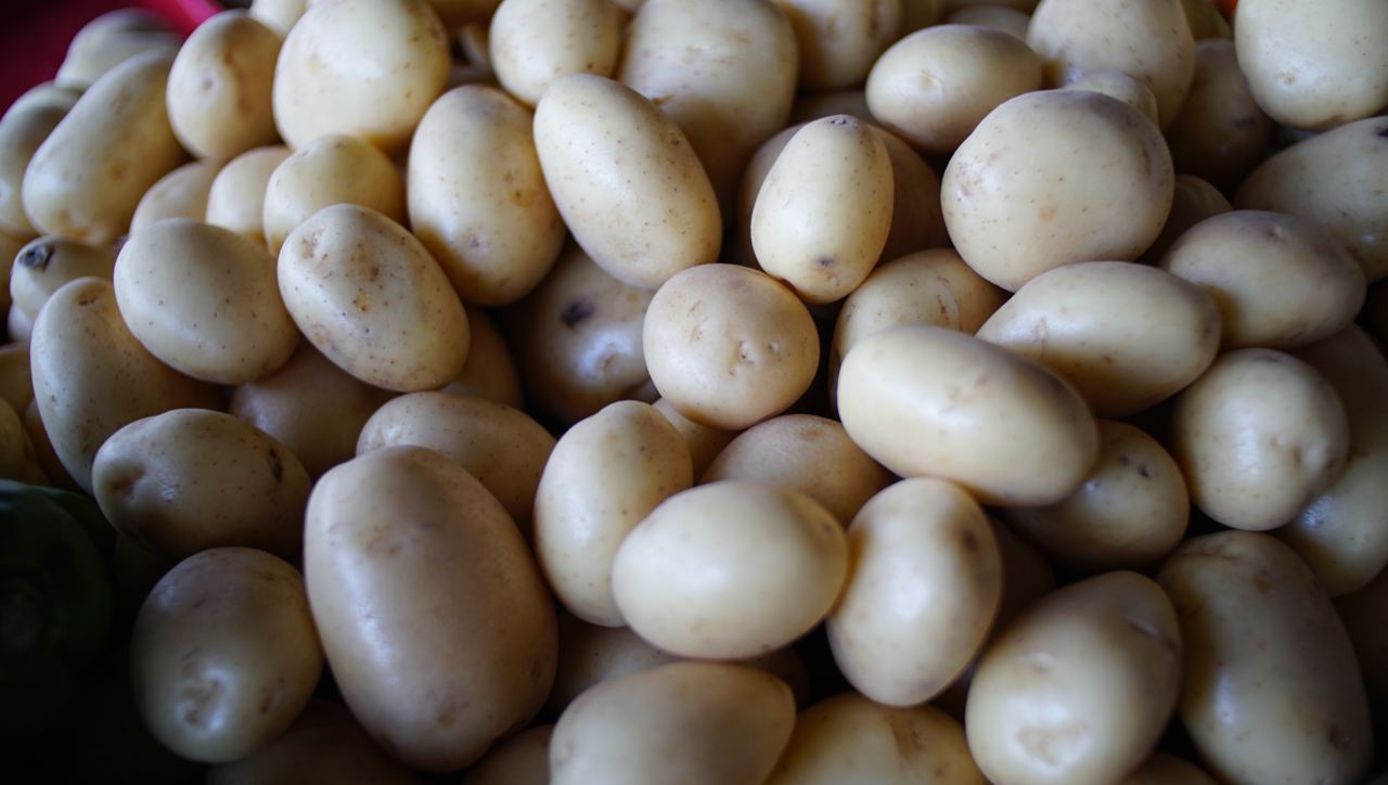 Confira a cotação dos hortifrutigranjeiros comercializados no Mercado do Produtor de Juazeiro nesta sexta-feira