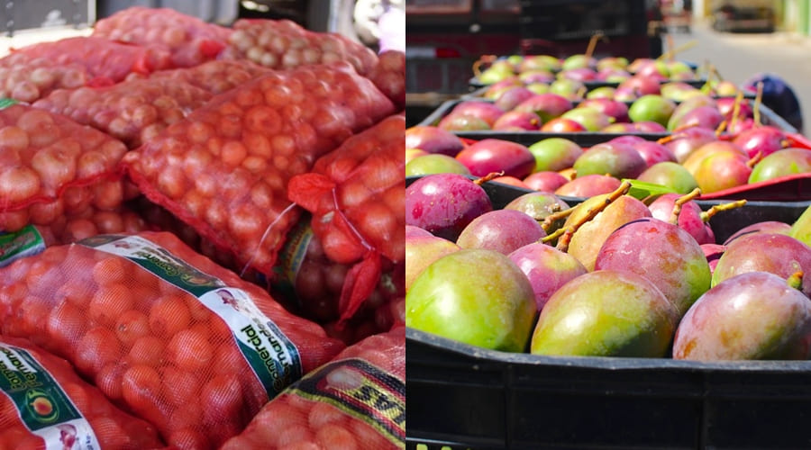 Preços da cebola e da manga seguem caminhos opostos no Mercado do Produtor de Juazeiro