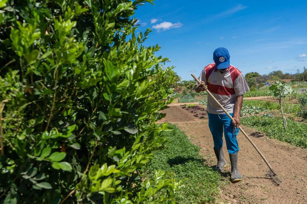 Prefeita Suzana Ramos assina adesão ao Garantia-Safra 2022/2023 e garante aos agricultores familiares de Juazeiro uma renda extra em caso de perda das lavouras