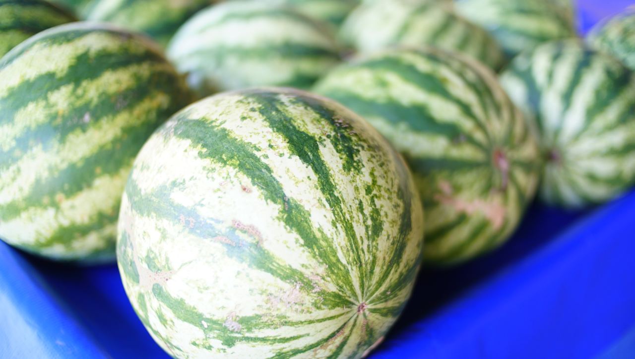 Confira a cotação dos hortifrutigranjeiros comercializados no Mercado do Produtor de Juazeiro nesta terça-feira