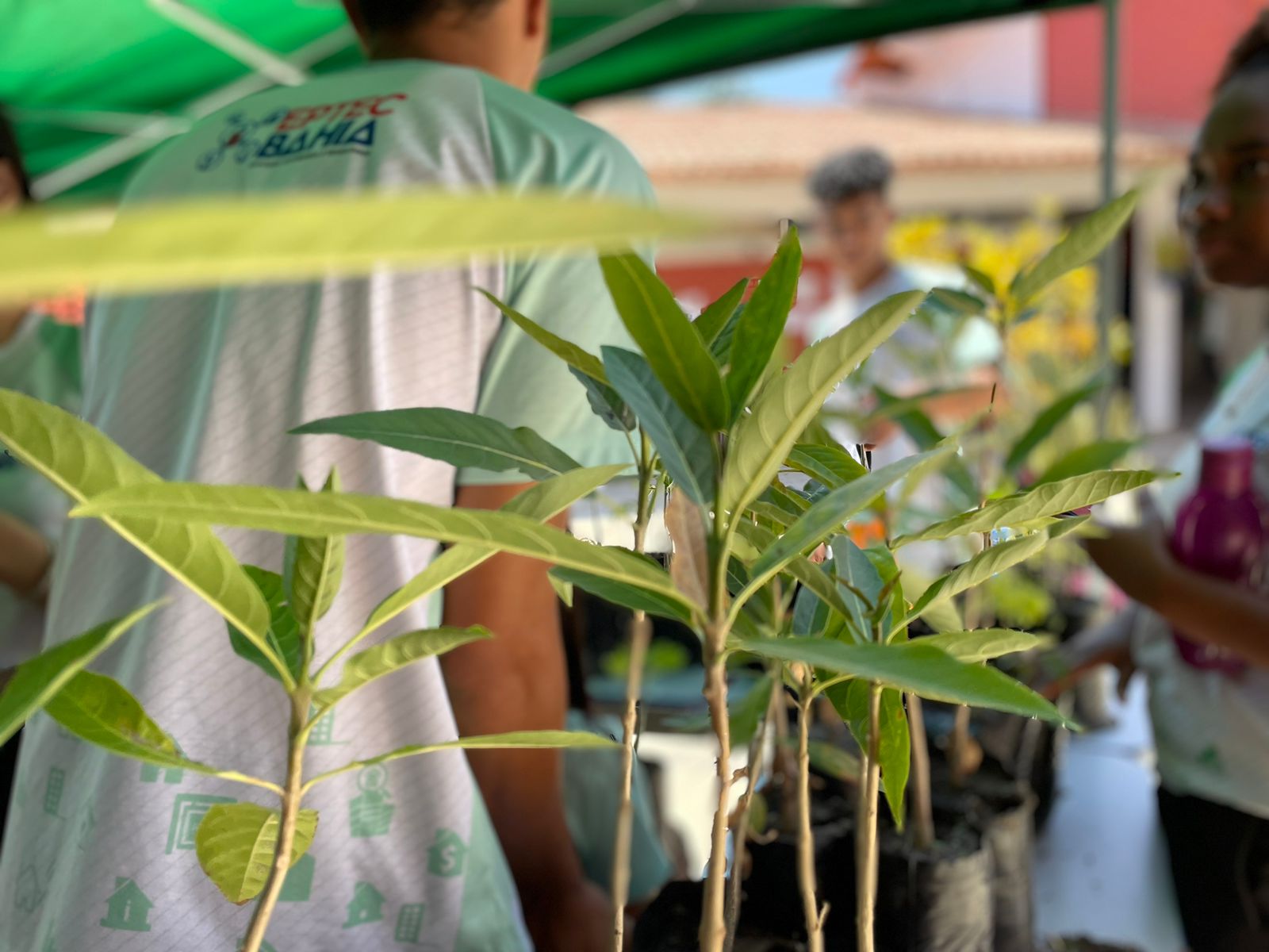 Em parceria com o CETEP, Semaurb realiza atividade de educação ambiental sobre o Dia da Árvore em Juazeiro
