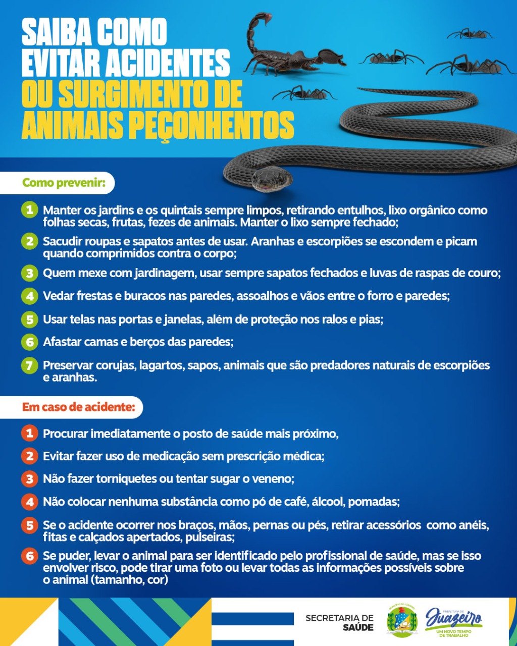 Juazeiro: Secretaria de Saúde orienta quanto à prevenção de acidentes com animais peçonhentos