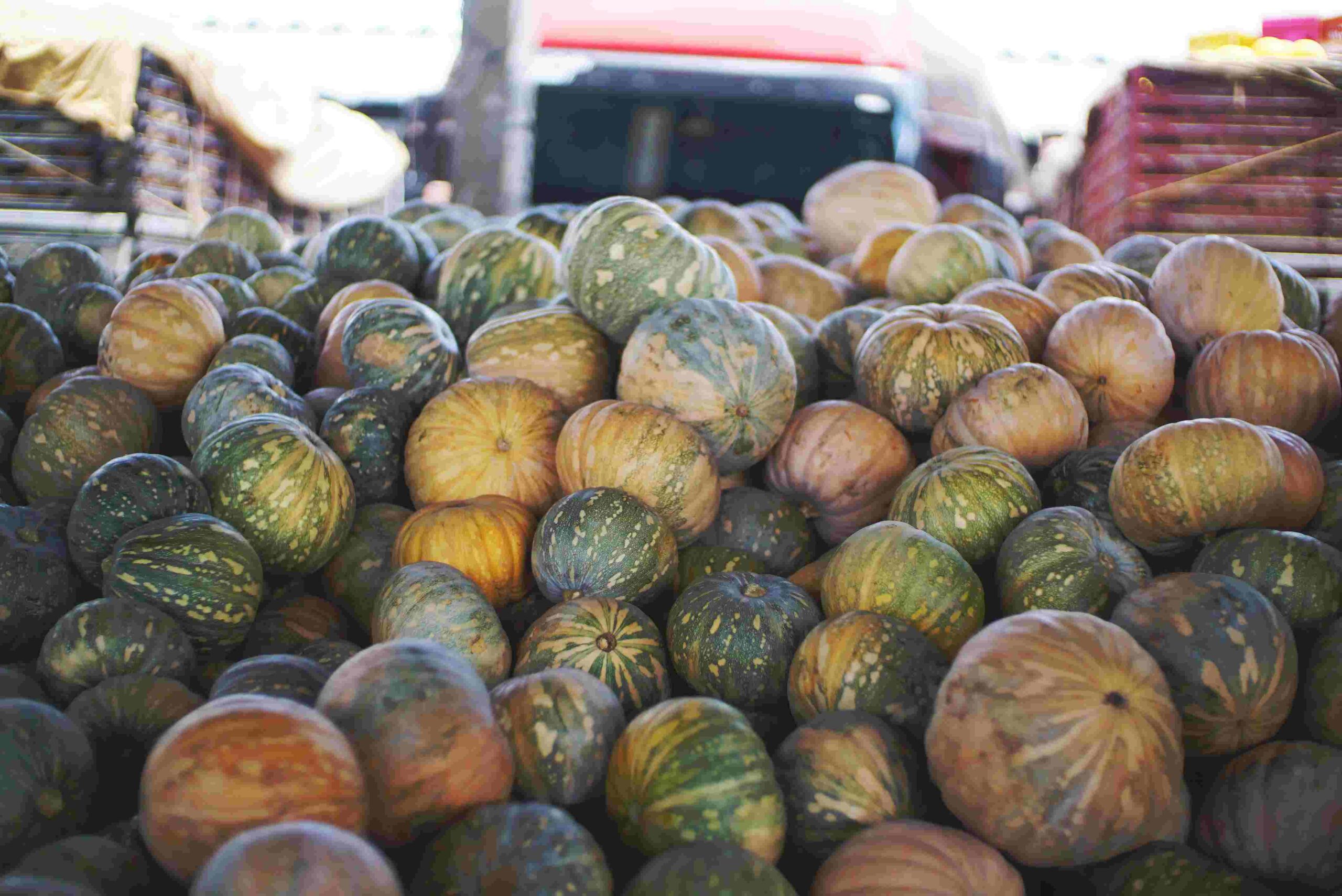 Confira a cotação dos hortifrutigranjeiros comercializados no Mercado do Produtor de Juazeiro nesta terça-feira