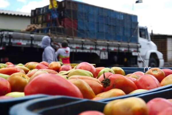 Preço do tomate sobe no Mercado do Produtor de Juazeiro