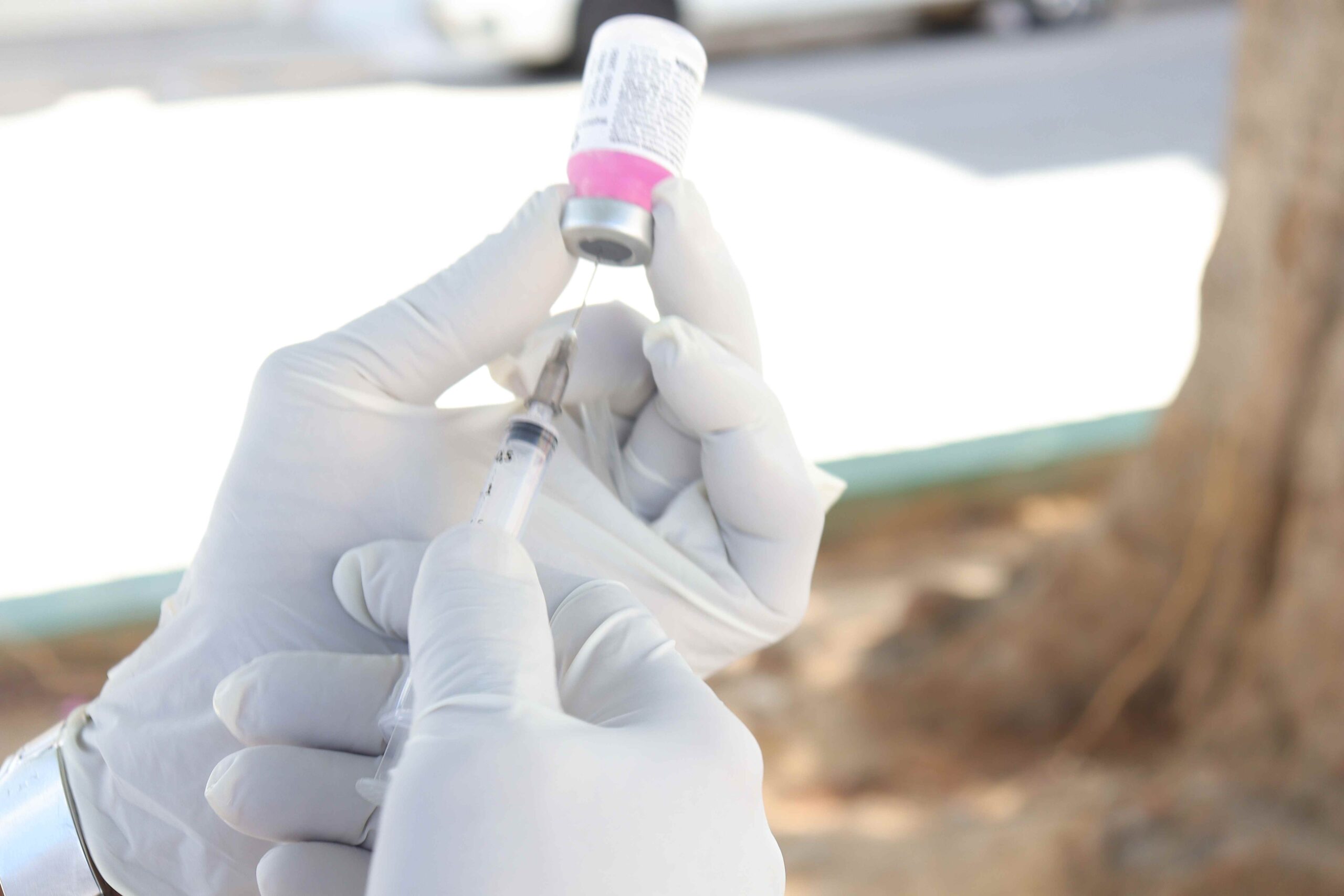 Mesmo fora da campanha, cães e gatos podem receber vacina contra a raiva em Juazeiro; saiba onde vacinar