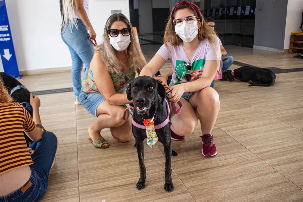 Dezembro Verde: Prefeitura de Juazeiro promove feira de adoção de animais em apoio à campanha de conscientização contra o abandono
