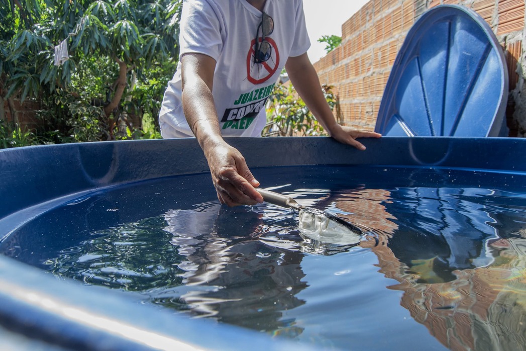 Dengue: Prefeitura de Juazeiro alerta para risco de aumento de casos e reforça pedido de ajuda à população