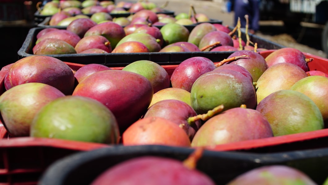 Confira a cotação dos hortifrutigranjeiros comercializados no Mercado do Produtor de Juazeiro nesta terça-feira