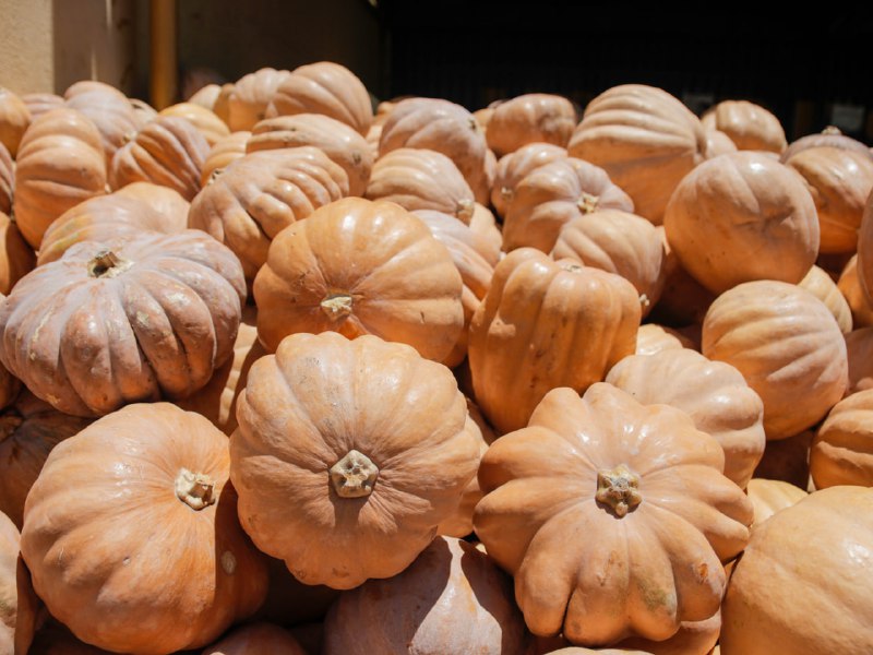 Confira a cotação dos hortifrutigranjeiros comercializados no Mercado do Produtor de Juazeiro nesta segunda-feira