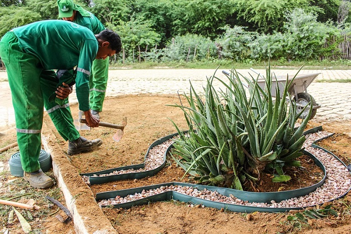 Canteiro Central de Carnaíba do Sertão começa a receber ação de embelezamento da Prefeitura de Juazeiro   
