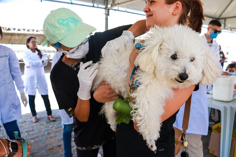 Vacinação Antirrábica: Prefeitura de Juazeiro divulga cronograma para o período de 21 a 25 de agosto