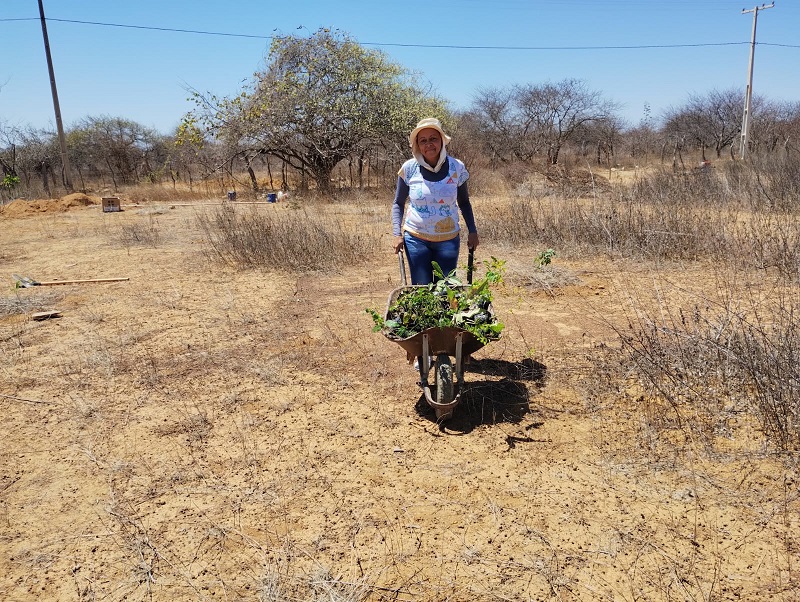 Educação ambiental em ação: Prefeitura de Juazeiro realiza reflorestamento e palestra educativa para estudantes