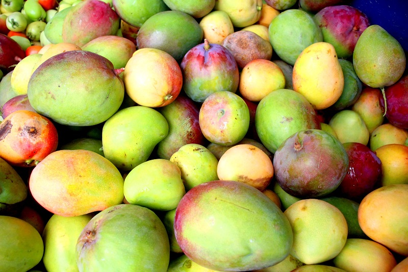 Confira a cotação dos hortifrutigranjeiros comercializados no Mercado do Produtor de Juazeiro nesta sexta-feira