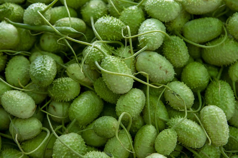 Confira a cotação dos hortifrutigranjeiros no Mercado do Produtor de Juazeiro nesta terça-feira (11)