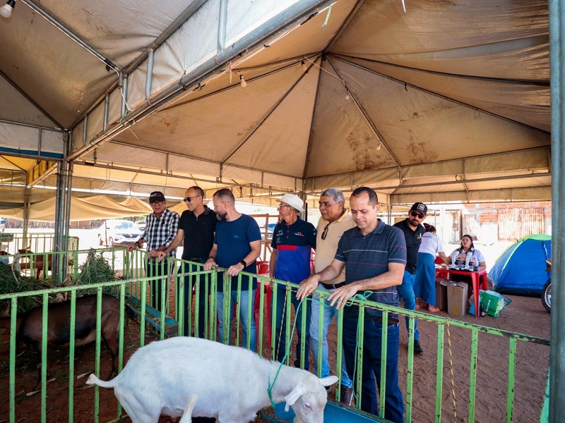 Feira do Bode de Massaroca é avaliada como um sucesso por organizadores e participantes