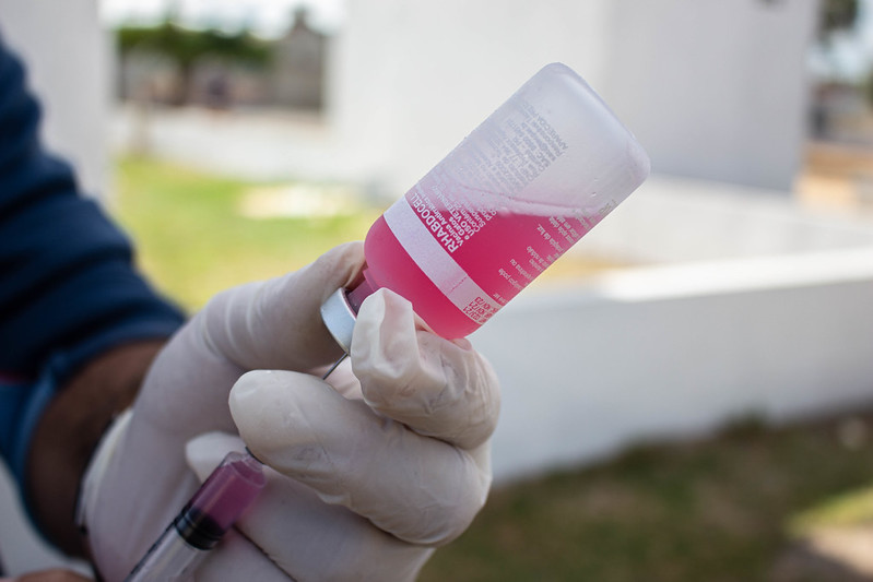 Vacinação Antirrábica: Prefeitura de Juazeiro divulga cronograma da vacinação para o período de 11 a 15 de setembro