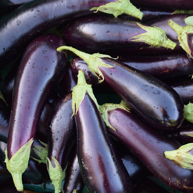 Confira a cotação dos hortifrutigranjeiros comercializados no Mercado do Produtor de Juazeiro nesta segunda-feira