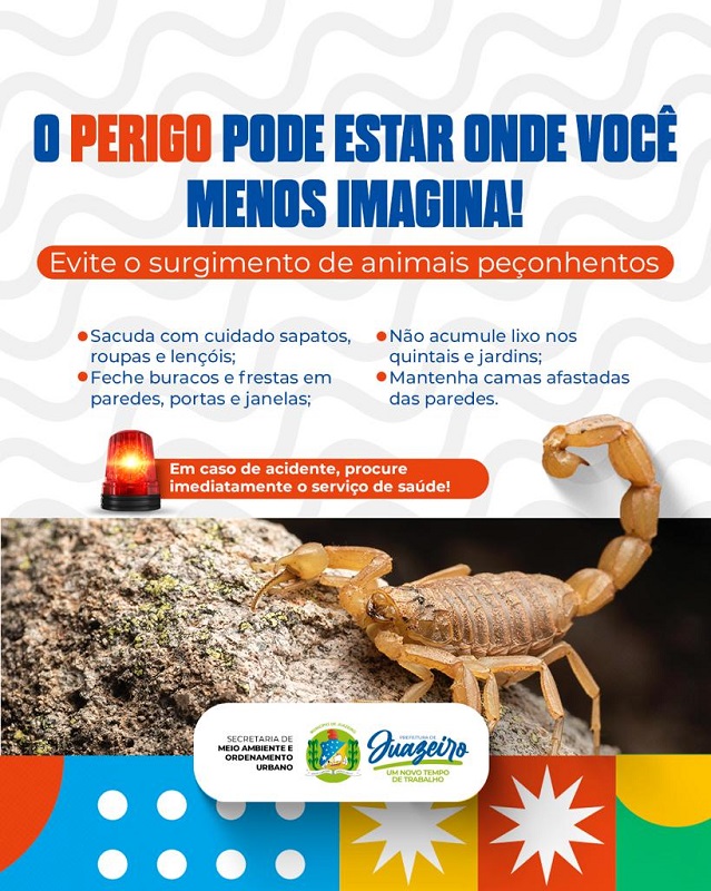 Prefeitura alerta população sobre os cuidados com escorpiões em Juazeiro