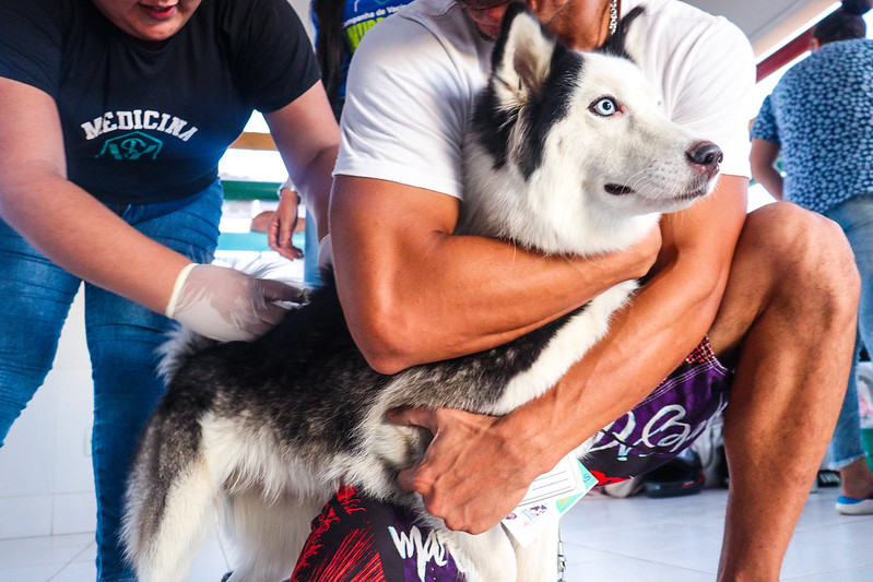 Prefeitura de Juazeiro encerra Campanha de Vacinação Antirrábica com ação na Orla ll   