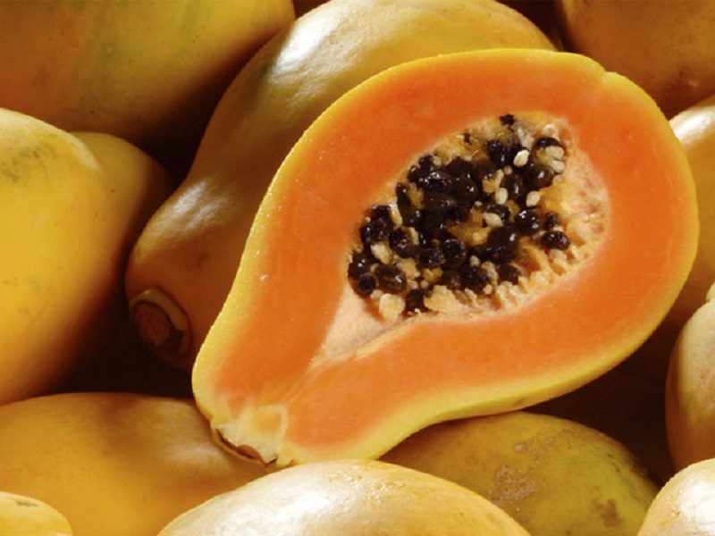 Confira a cotação dos hortifrutigranjeiros no Mercado do Produtor de Juazeiro nesta quarta-feira (26)