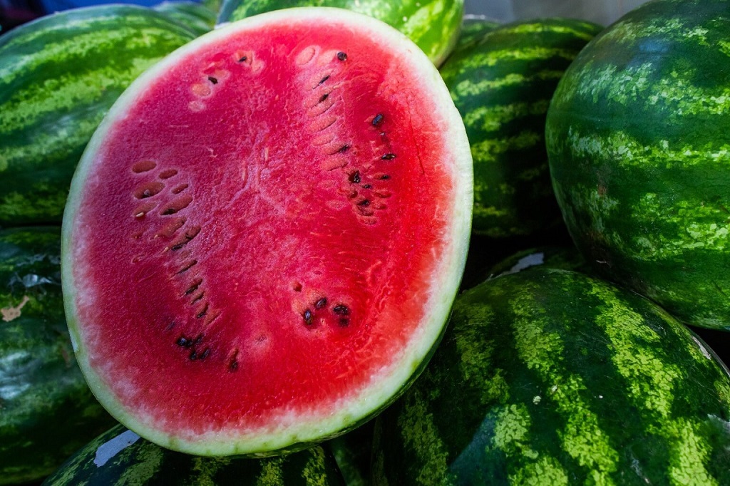 Confira a cotação dos hortifrutigranjeiros comercializados no Mercado do Produtor de Juazeiro nesta terça-feira