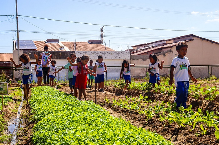 Escola Municipal de Juazeiro desenvolve horta comunitária com estudantes em projeto didático que aproxima família da comunidade escolar