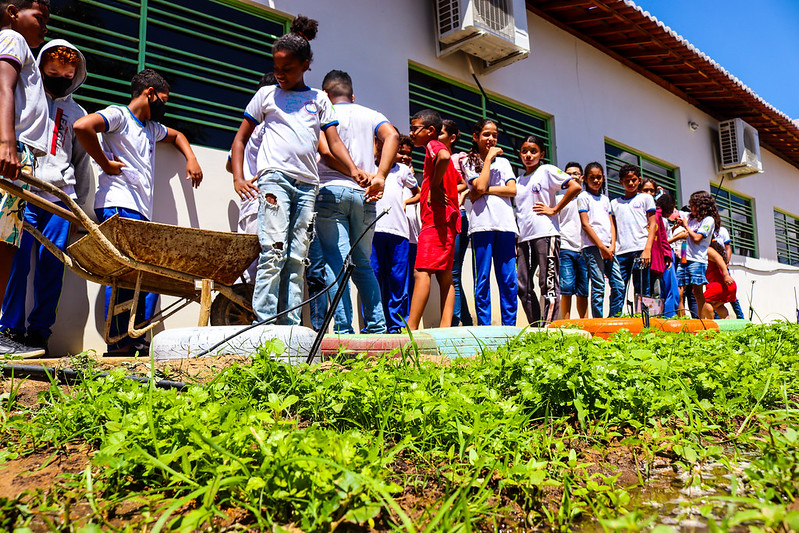 Horta escolar fortalece aprendizado dos estudantes na Escola Municipal Presidente Tancredo Neves, em Juazeiro