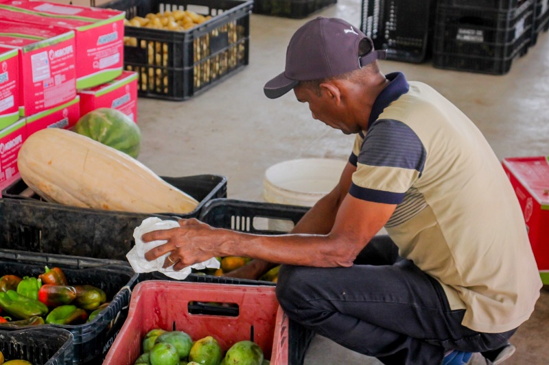 Banco de Alimentos, da Prefeitura de Juazeiro, bate recorde e soma mais de 200 mil quilos de doações para famílias em vulnerabilidade social